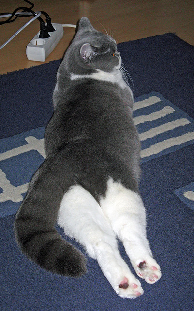 阳光下的角斗场,弗拉霍维奇关键战接管比赛,塞维利亚轻取埃及锁定奥运先机