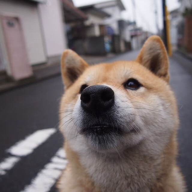 关键时刻的巨人，当凡人于深渊边缘接管比赛