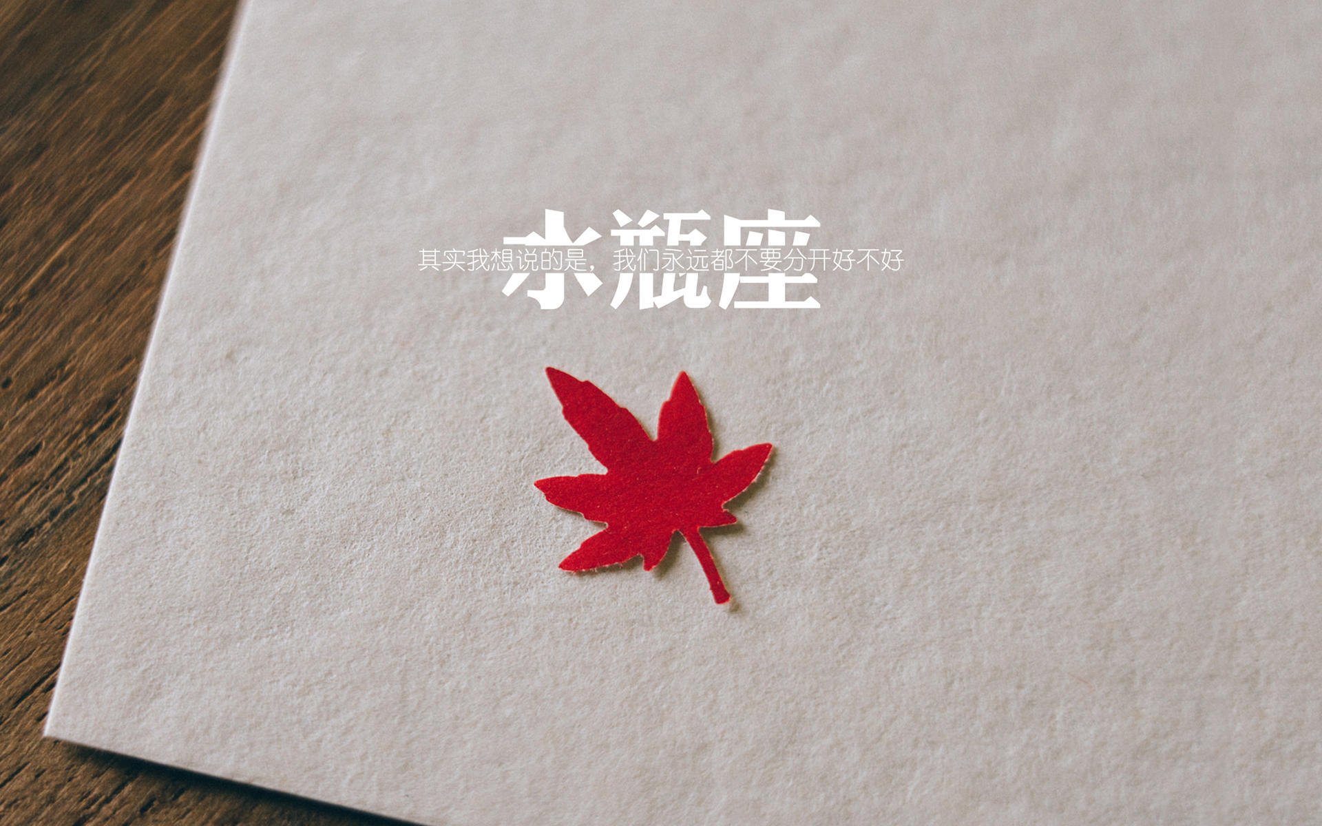 绿茵场上的征服，墨西哥碾压委内瑞拉，凯恩上演王者归来