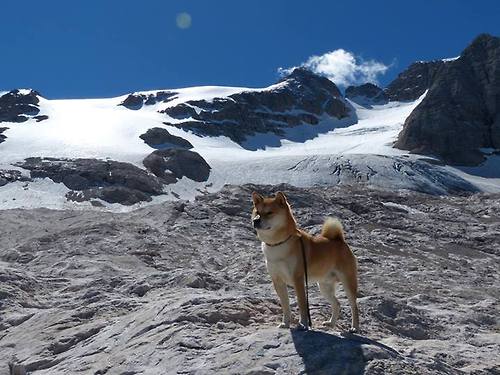 当穆勒的节拍器遇上巴萨的Tiki-Taka，一场改变足球认知的相遇