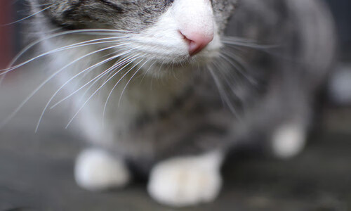 英雄密码，黄喜灿在西决生死战之夜，何以赢得拉满评分？