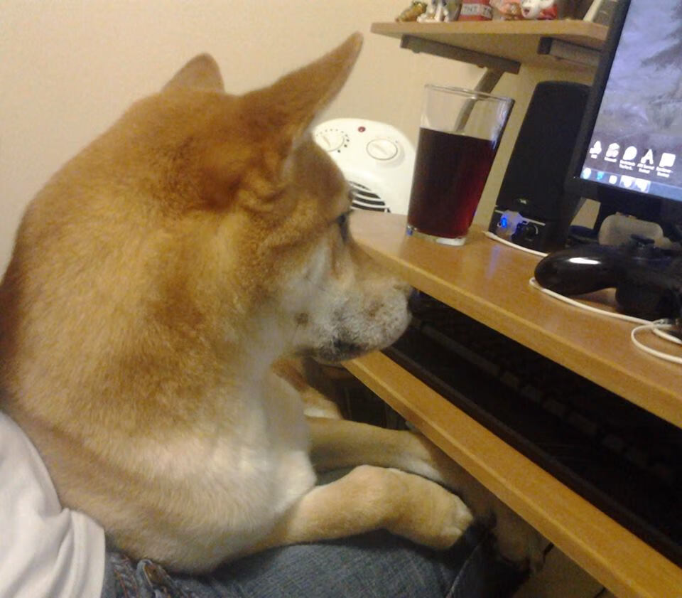 东决决战夜，西部之魂降临，莫兰特用非东决表现定义何为冠军之心