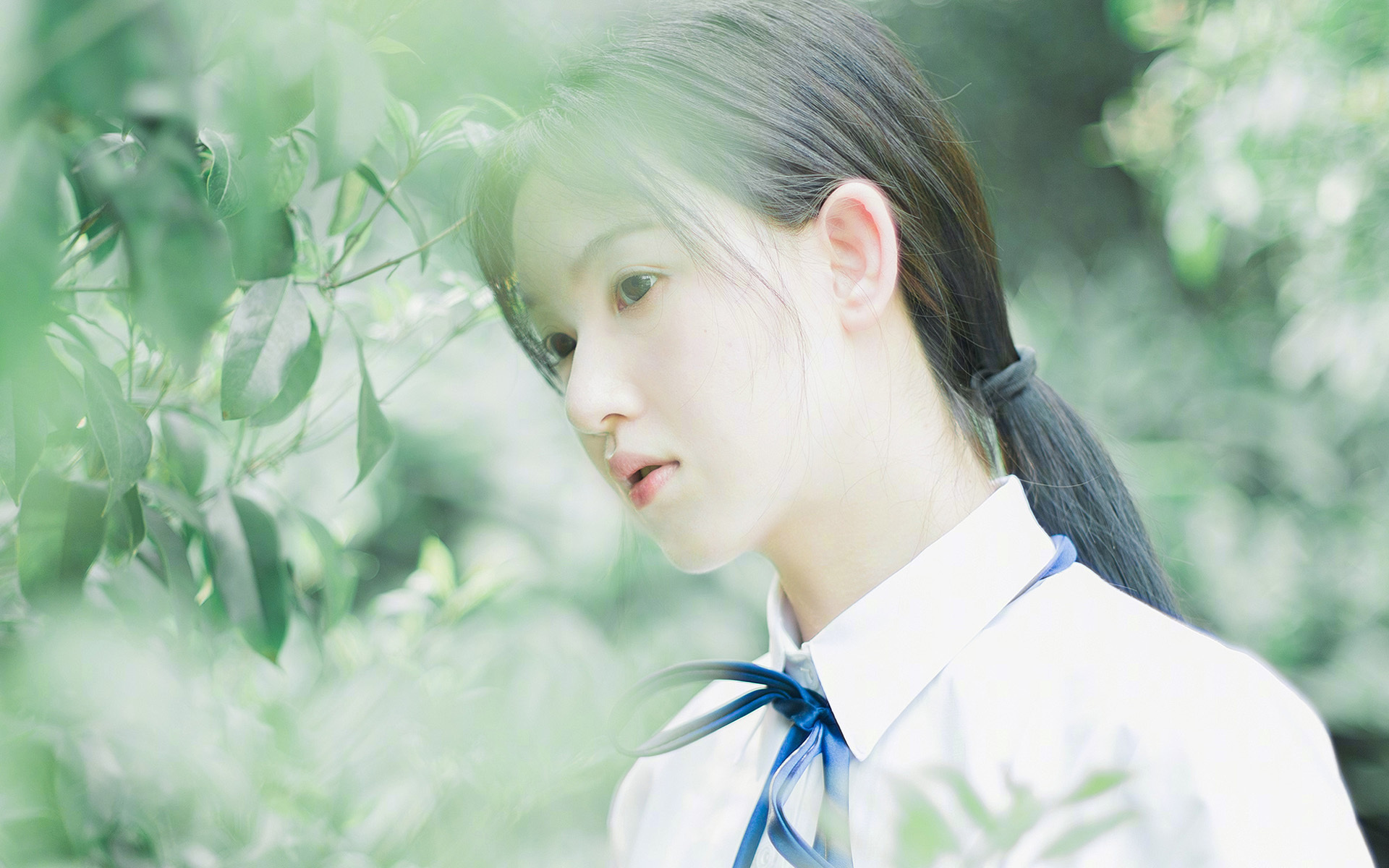 地中海畔的逆袭，世界排名焦点战，摩纳哥如何终结非洲脊梁马里？