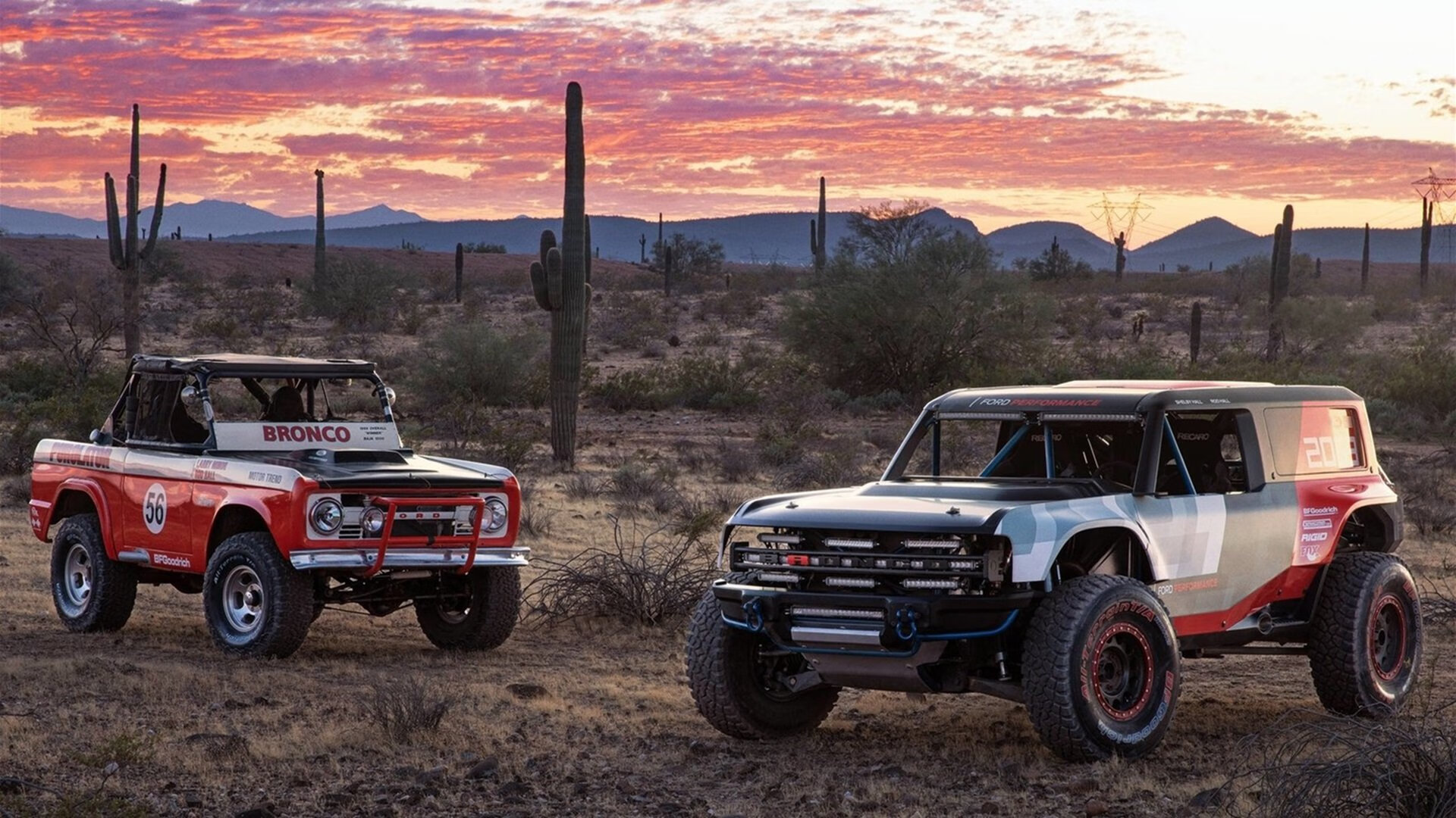 烈焰之战，拉文状态火热如焰，森林狼跨洋征服深圳队