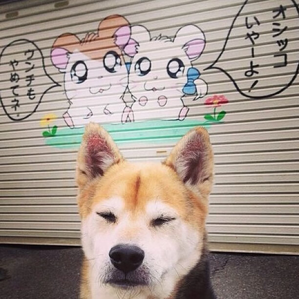 破茧与正名，马克西冷静掌控闪耀之夜，灰熊用铁血终结老鹰喧嚣