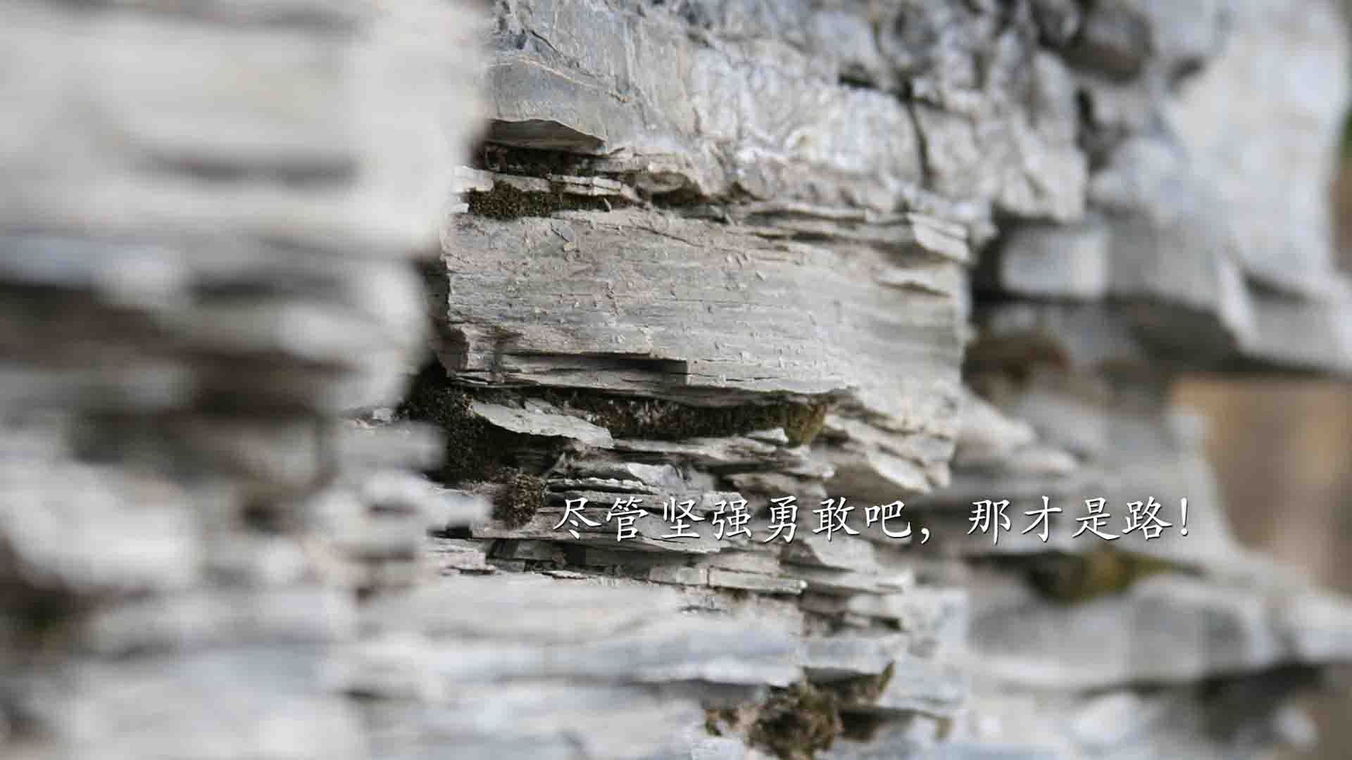 沙漠中的钟表匠，瑞士军刀如何在2026世界杯E组精密刺穿两河文明